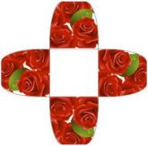 Forminha1 - 12 unidades